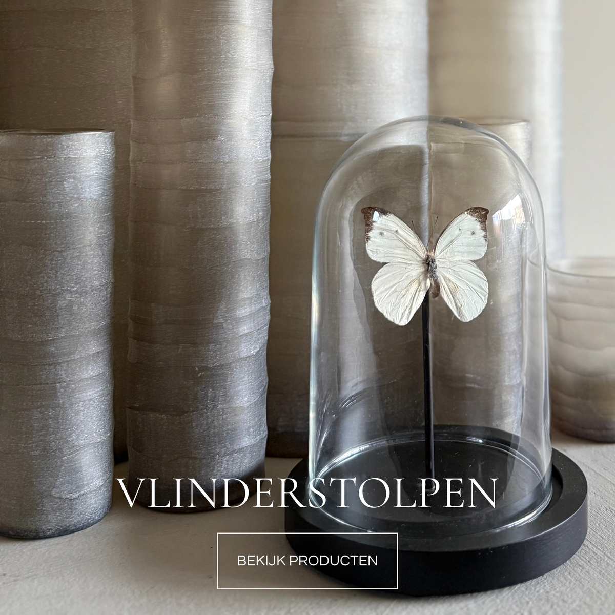 VLINDERSTOLPEN