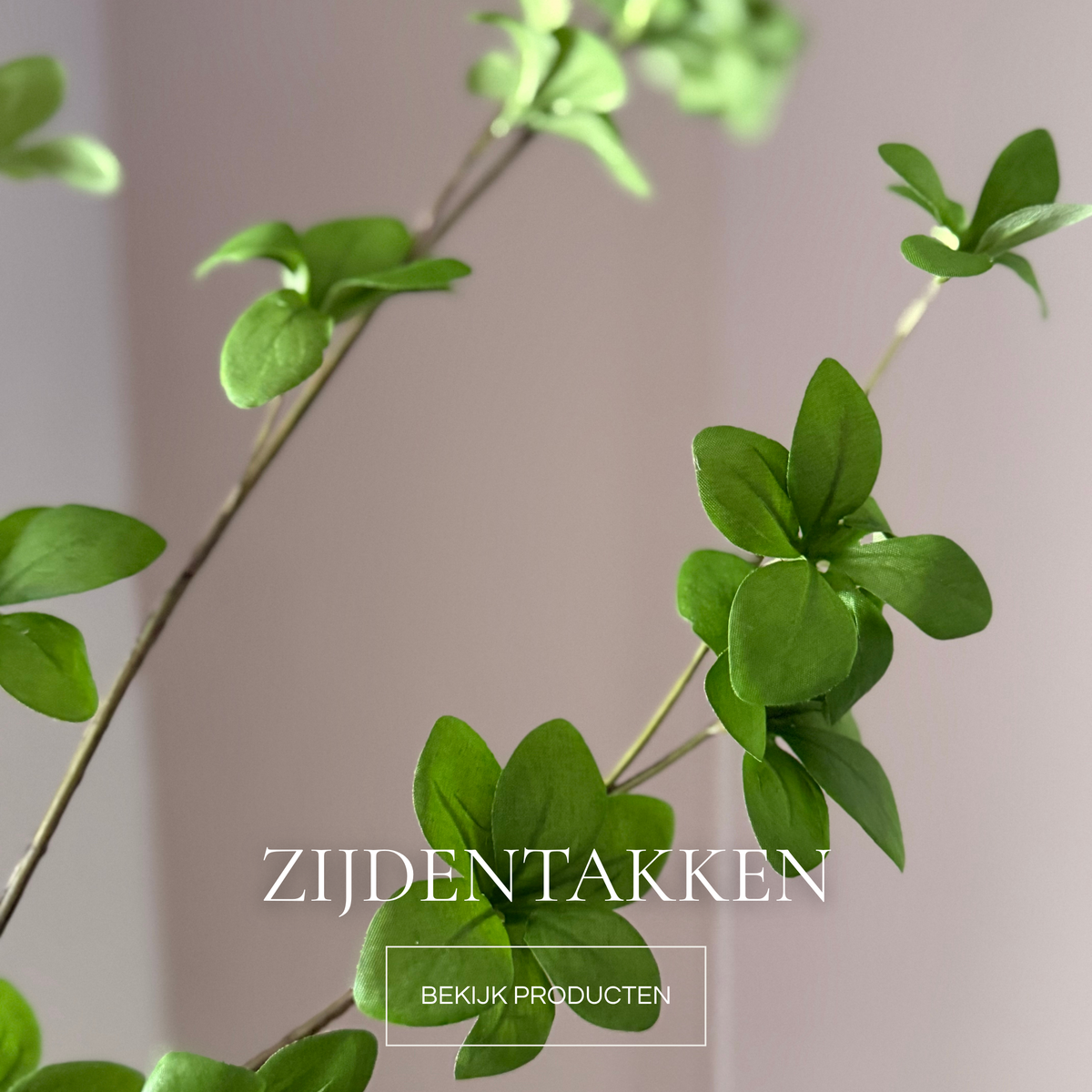 ZIJDENTAKKEN