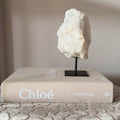 Koffietafel boek Chloé